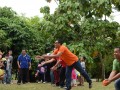 Tn dsc 9232